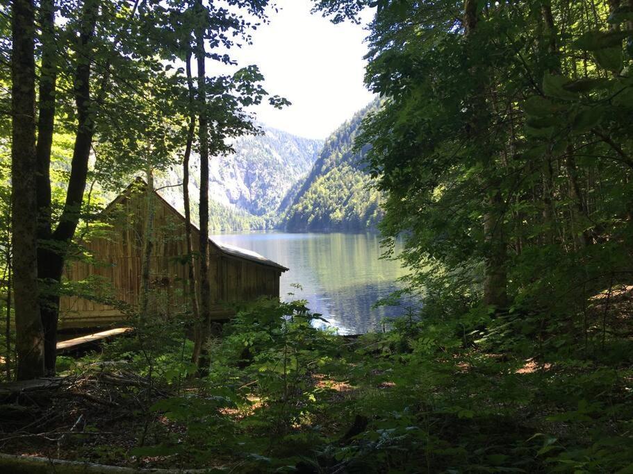 Alpenurlaub II Wohnung Mit Traumausblick Бад Митерндорф Екстериор снимка